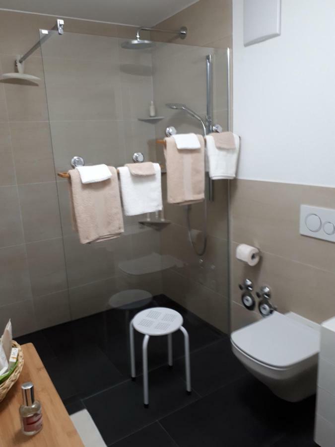 Bad Saeckingen - Sie Werden Sich Hier Wohl Fuehlen Apartment Luaran gambar